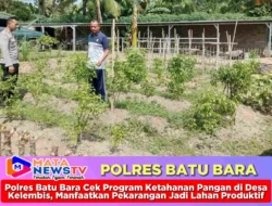 Polres Batu Bara Cek Program Ketahanan Pangan di Desa Kelembis, Manfaatkan Pekarangan Jadi Lahan Produktif