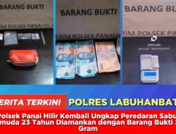 Peredaran Sabu, Pemuda 23 Tahun Diamankan dengan Barang Bukti 2,3 Gram