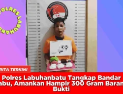 Polres Labuhanbatu Tangkap Bandar Sabu, Amankan Hampir 300 Gram Barang Bukti