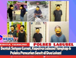 Bentuk Satgas Cursat, Kapolres Labusel Tangkap 6 Pelaku Pencurian Sawit di Dua Lokasi