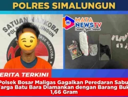 Polsek Bosar Maligas Gagalkan Peredaran Sabu, Warga Batu Bara Diamankan dengan Barang Bukti 1,66 Gram