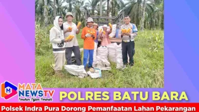 Polsek Indra Pura Dorong Pemanfaatan Lahan Pekarangan untuk Ketahanan Pangan di Desa Tanjung Kasau