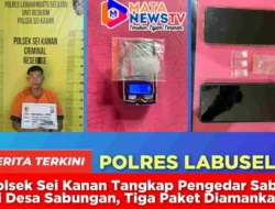 Polsek Sei Kanan Tangkap Pengedar Sabu di Desa Sabungan, Tiga Paket Diamankan