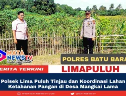 Polsek Lima Puluh Tinjau dan Koordinasi Lahan Ketahanan Pangan di Desa Mangkai Lama