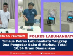 Timsus Polres Labuhanbatu Tangkap Dua Pengedar Sabu di Marbau, Total 16,34 Gram Diamankan