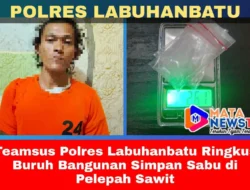 Teamsus Polres Labuhanbatu Ringkus Buruh Bangunan Simpan Sabu di Pelepah Sawit