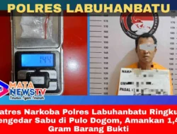 Satres Narkoba Polres Labuhanbatu Ringkus Pengedar Sabu di Pulo Dogom, Amankan 1,44 Gram Barang Bukti