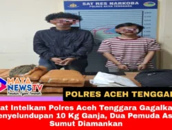 Sat Intelkam Polres Aceh Tenggara Gagalkan Penyelundupan 10 Kg Ganja, Dua Pemuda Asal Sumut Diamankan