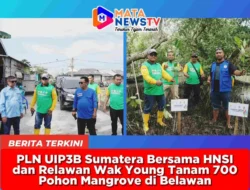 PLN UIP3B Sumatera Bersama HNSI dan Relawan Wak Young Tanam 700 Pohon Mangrove di Belawan