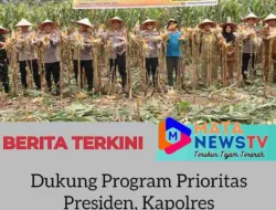Dukung Program Prioritas Presiden, Kapolres Pematangsiantar Hadiri Panen Raya Ketahanan Pangan