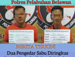 2 (Dua) Pengedar Sabu Diringkus Satres Narkoba Polres Belawan di Hamparan Perak