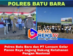 Polres Batu Bara dan PT Lonsum Gelar Panen Raya Jagung Dukung Ketahanan Pangan Nasional