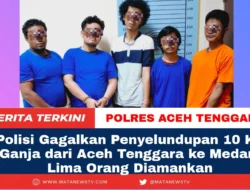 Polisi Gagalkan Penyelundupan 10 Kg Ganja dari Aceh Tenggara ke Medan, Lima Orang Diamankan