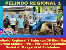 Pelindo Regional 1 Salurkan 38 Ekor Sapi Qurban Melalui PPDI, Perkuat Kepedulian Sosial di Masyarakat Pelabuhan