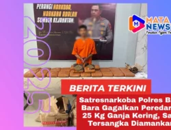 Satresnarkoba Polres Batu Bara Gagalkan Peredaran 25 Kg Ganja Kering, Satu Tersangka Diamankan