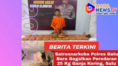 Satresnarkoba Polres Batu Bara Gagalkan Peredaran 25 Kg Ganja Kering, Satu Tersangka Diamankan