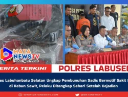 Polres Labuhanbatu Selatan Ungkap Pembunuhan Sadis Bermotif Sakit Hati di Kebun Sawit, Pelaku Ditangkap Sehari Setelah Kejadian