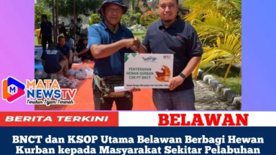 BNCT dan KSOP Utama Belawan Berbagi Hewan Kurban kepada Masyarakat Sekitar Pelabuhan