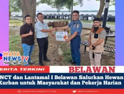 BNCT dan Lantamal I Belawan Salurkan Hewan Kurban untuk Masyarakat dan Pekerja Harian