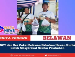 BNCT dan Bea Cukai Belawan Salurkan Hewan Kurban untuk Masyarakat Sekitar Pelabuhan