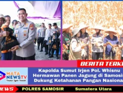 Kapolda Sumut Irjen Pol. Whisnu Hermawan Panen Jagung di Samosir, Dukung Ketahanan Pangan Nasional