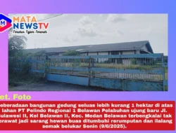 Gedung di Lahan Pelindo Ujung Baru Belawan Terbengkalai, Jadi Sarang Hewan Buas