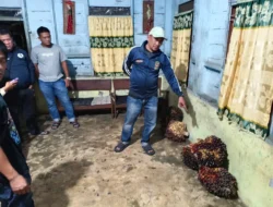 Sat Reskrim Polres Pematangsiantar Cek TKP Pencurian Kelapa Sawit