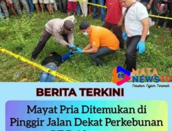 Mayat Pria Ditemukan di Pinggir Jalan Dekat Perkebunan PT Bridgestone, Diduga Korban Kecelakaan Lalu Lintas