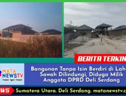 Bangunan Tanpa Izin Berdiri di Lahan Sawah Dilindungi, Diduga Milik Anggota DPRD Deli Serdang