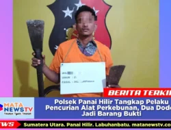 Polsek Panai Hilir Tangkap Pelaku Pencurian Alat Perkebunan, Dua Dodos Jadi Barang Bukti