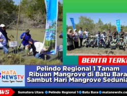 Pelindo Regional 1 Tanam Ribuan Mangrove di Batu Bara Sambut Hari Mangrove Sedunia