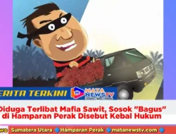 Diduga Terlibat Mafia Sawit, Sosok “Bagus” di Hamparan Perak Disebut Kebal Hukum