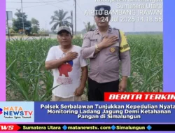 Polsek Serbalawan Tunjukkan Kepedulian Nyata: Monitoring Ladang Jagung Demi Ketahanan Pangan di Simalungun