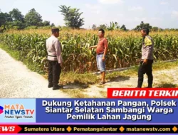 Dukung Ketahanan Pangan, Polsek Siantar Selatan Sambangi Warga Pemilik Lahan Jagung