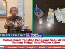 Polsek Kuala Tangkap Pengguna Sabu di Desa Gunung Tinggi, Satu Pelaku Kabur