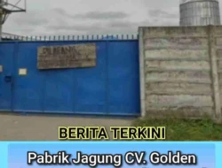 Pabrik Jagung CV. Golden Jaya Agritama Dituding Rusak Jalan dan Cemari Lingkungan, Diduga Dapat Backing Oknum Brimob