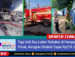 Tiga Unit Bus Ludes Terbakar di Hamparan Perak, Kerugian Ditaksir Capai Rp210 Juta