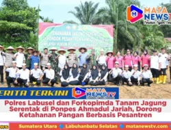 Polres Labusel dan Forkopimda Tanam Jagung Serentak di Ponpes Ahmadul Jariah, Dorong Ketahanan Pangan Berbasis Pesantren