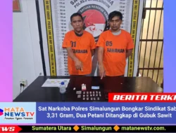 Sat Narkoba Polres Simalungun Bongkar Sindikat Sabu 3,31 Gram, Dua Petani Ditangkap di Gubuk Sawit