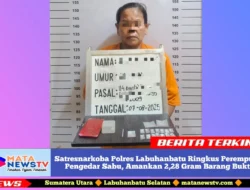 Satresnarkoba Polres Labuhanbatu Ringkus Perempuan Pengedar Sabu, Amankan 2,28 Gram Barang Bukti