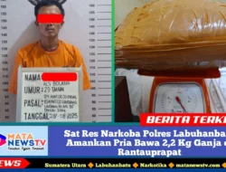 Sat Res Narkoba Polres Labuhanbatu Amankan Pria Bawa 2,2 Kg Ganja di Rantauprapat