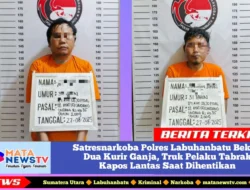 Satresnarkoba Polres Labuhanbatu Bekuk Dua Kurir Ganja, Truk Pelaku Tabrak Kapos Lantas Saat Dihentikan