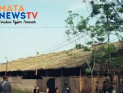 Judi Ratusan Juta di Desa Manunggal Diduga Dibekingi Oknum dan Mafia Berkedok APH