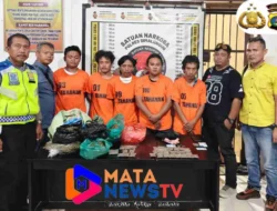 Polres Simalungun Bongkar Jaringan Narkoba 2,5 Kg Ganja di Kawasan Wisata Danau Toba