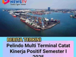 Pelindo Multi Terminal Catat Kinerja Positif Semester I 2025, Trafik Kargo Tumbuh Signifikan