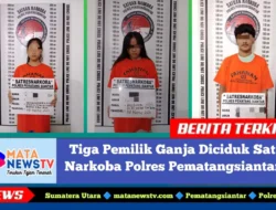 Tiga Pemilik Ganja Diciduk Sat Narkoba Polres Pematangsiantar