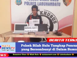 Polsek Bilah Hulu Tangkap Pencuri yang Bersembunyi di Dalam Sumur