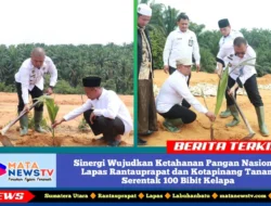 Sinergi Wujudkan Ketahanan Pangan Nasional, Lapas Rantauprapat dan Kotapinang Tanam Serentak 100 Bibit Kelapa
