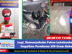 Lagi, Satresnarkoba Polres Labuhanbatu Gagalkan Peredaran 200 Gram Sabu