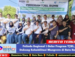 Pelindo Regional 1 Gelar Program TJSL, Dukung Rehabilitasi Mangrove di Batu Bara